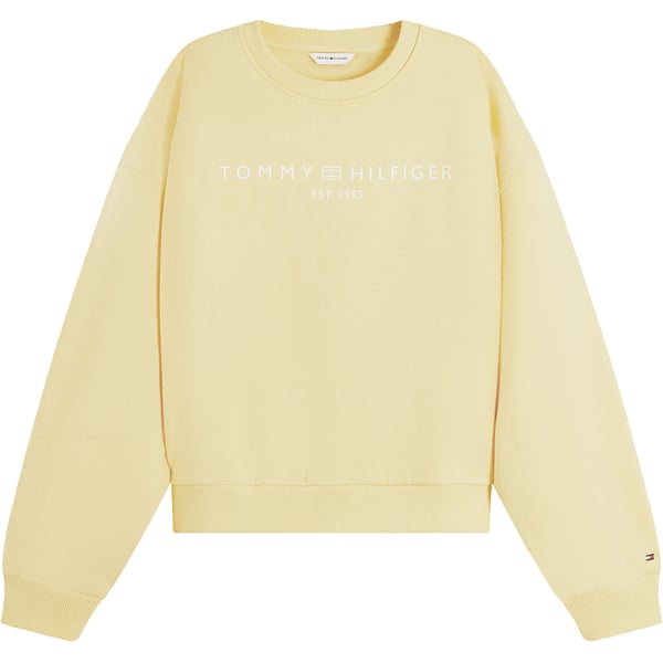 Sweater Ext Corp Logo Geel
